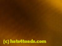 /home//u458753944/public_html/sourcegallery//Roxborough Toad Detour/2013-2019/2017/P4110705.JPG
